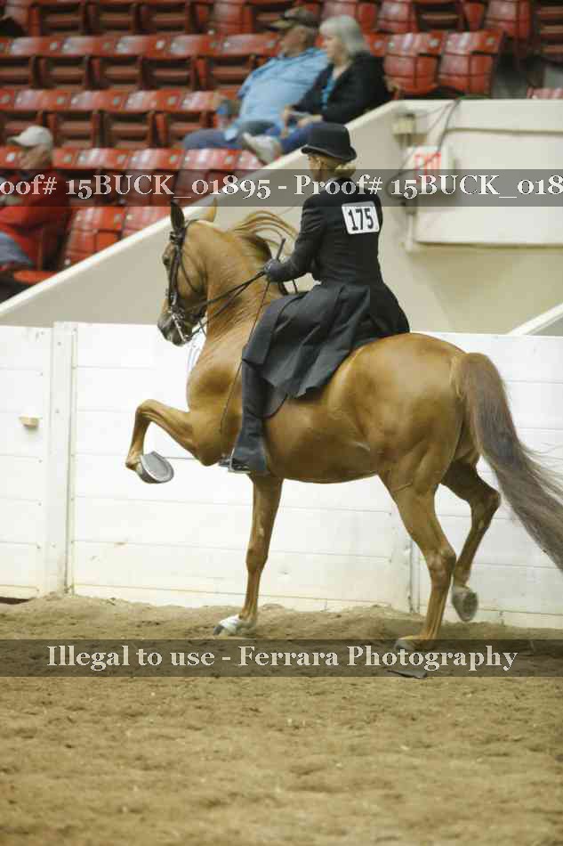 Proof 15BUCK_01895