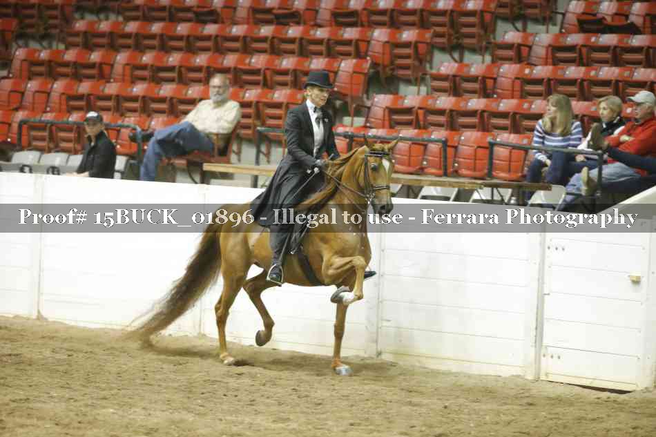Proof 15BUCK_01896