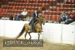 15BUCK_01896 proof