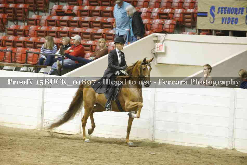 Proof 15BUCK_01897
