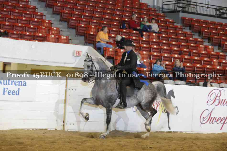 Proof 15BUCK_01898