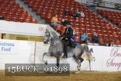 15BUCK_01898 proof