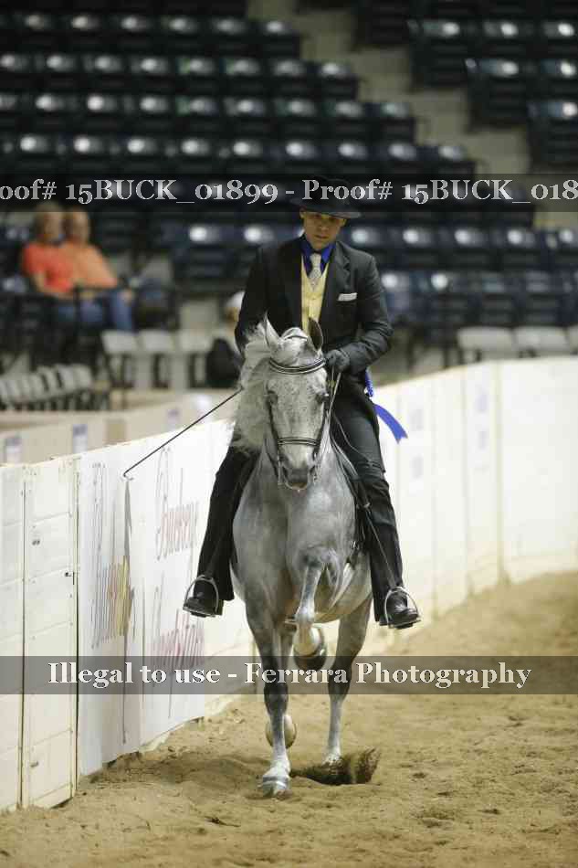 Proof 15BUCK_01899