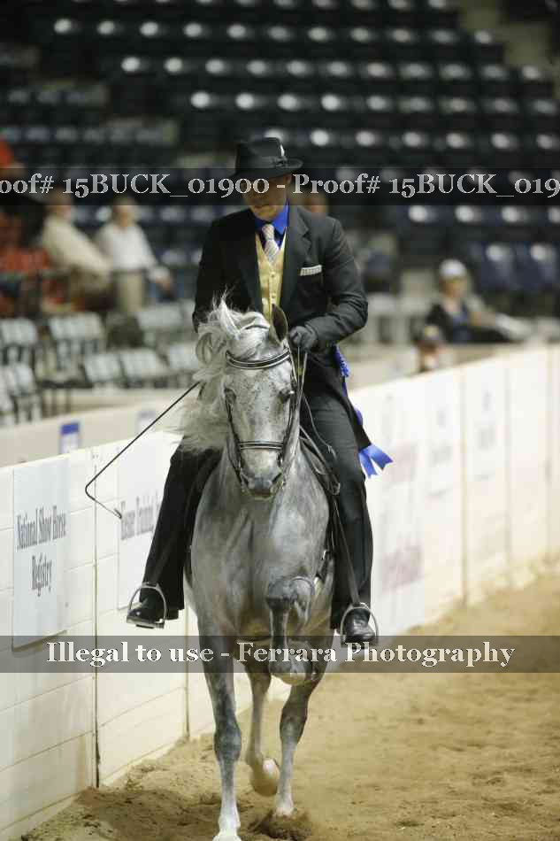 Proof 15BUCK_01900