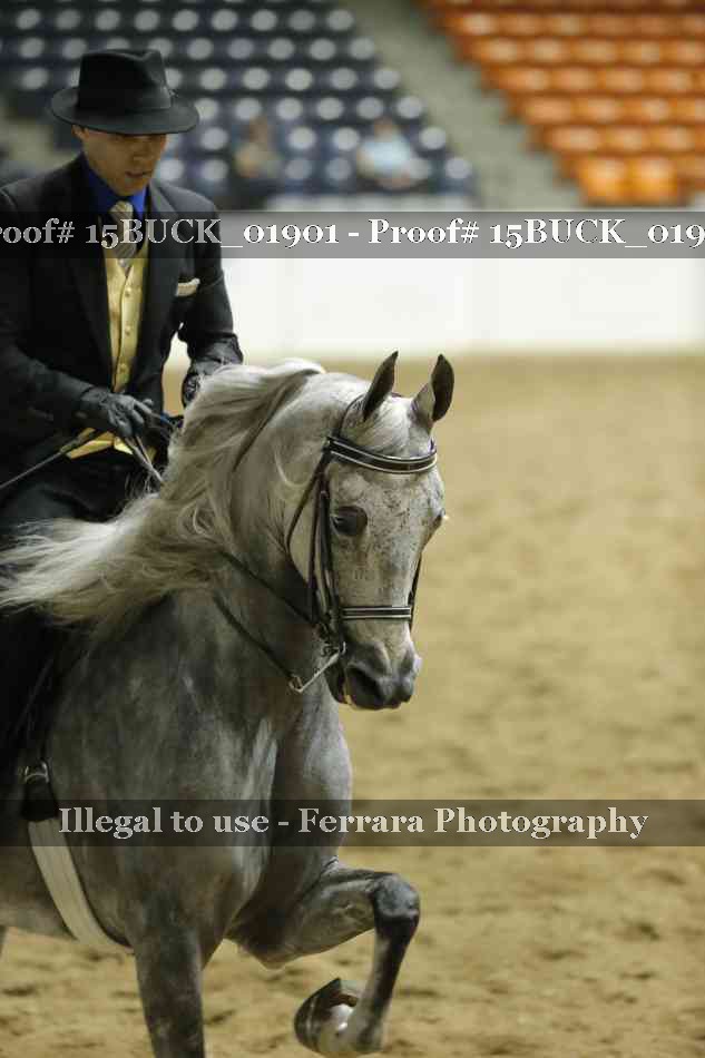Proof 15BUCK_01901