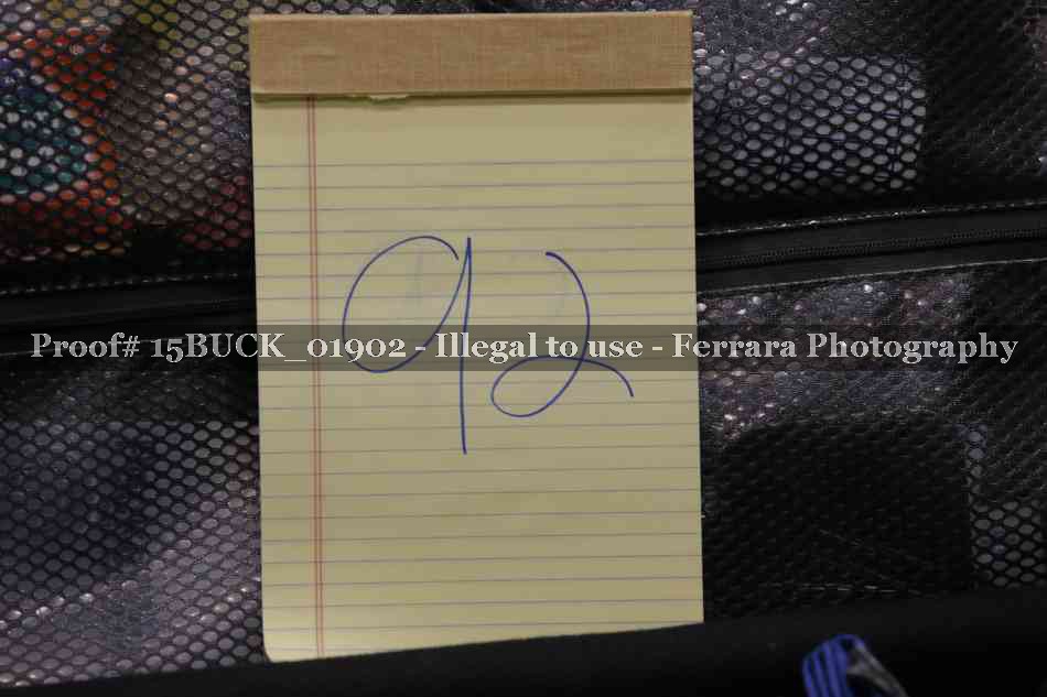 Proof 15BUCK_01902