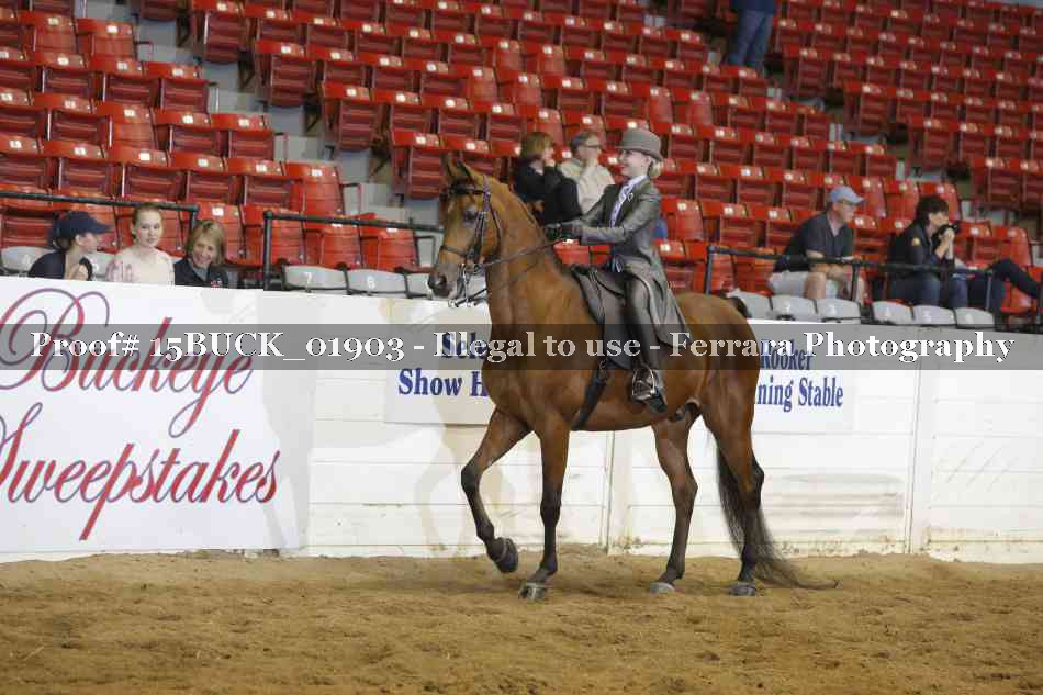 Proof 15BUCK_01903