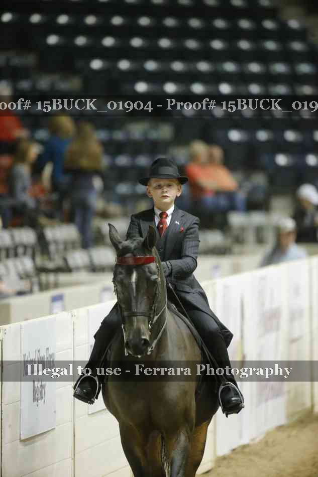 Proof 15BUCK_01904