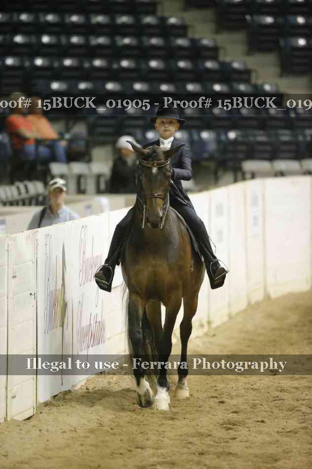 Proof 15BUCK_01905