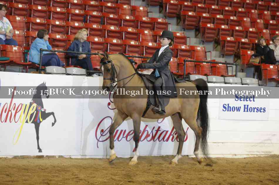 Proof 15BUCK_01906