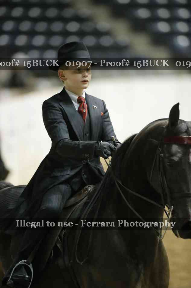 Proof 15BUCK_01907