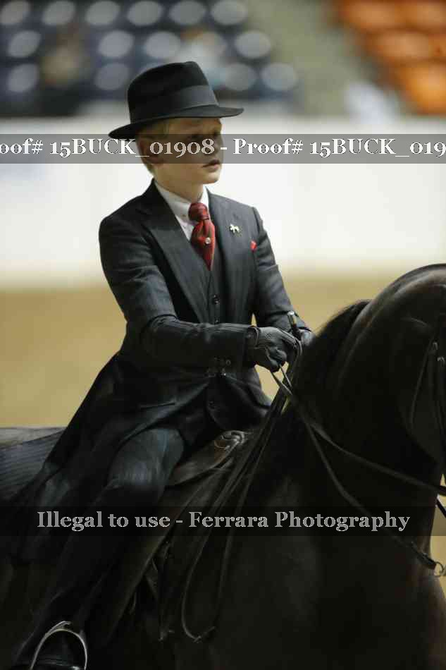 Proof 15BUCK_01908
