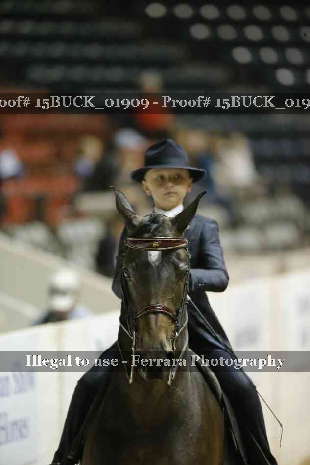 Proof 15BUCK_01909