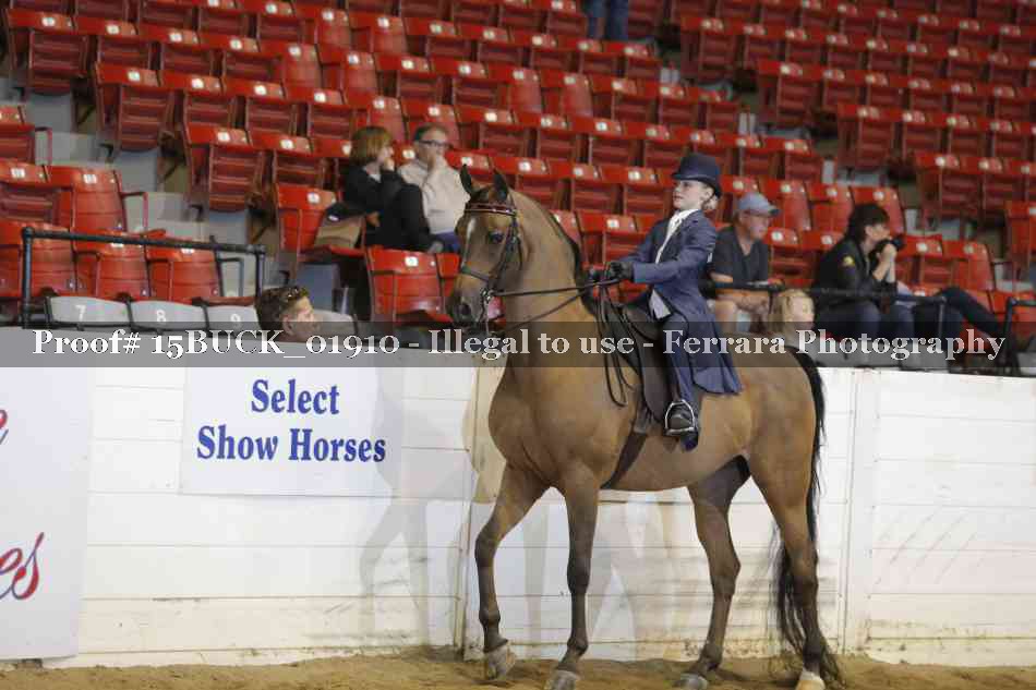 Proof 15BUCK_01910