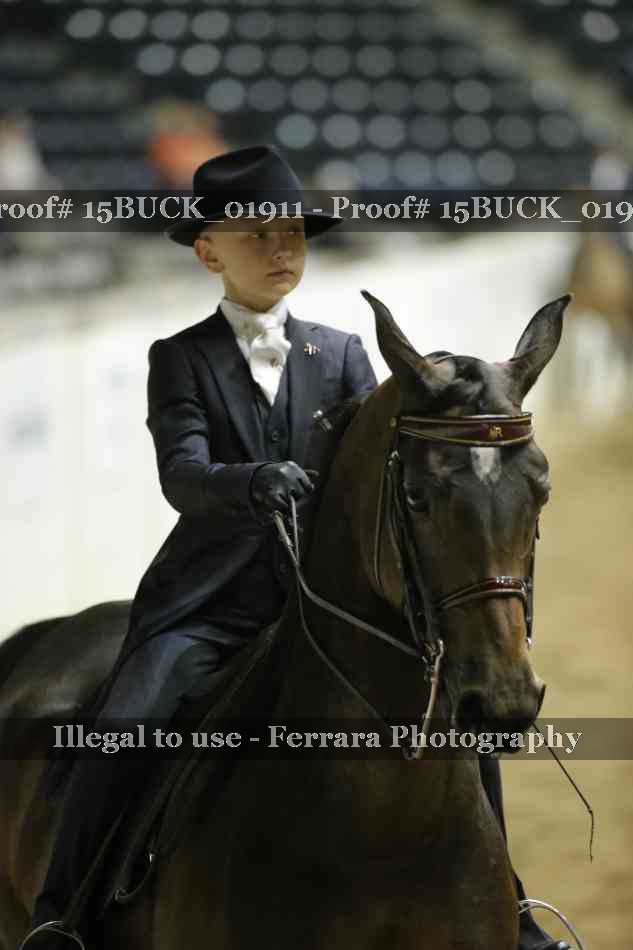 Proof 15BUCK_01911