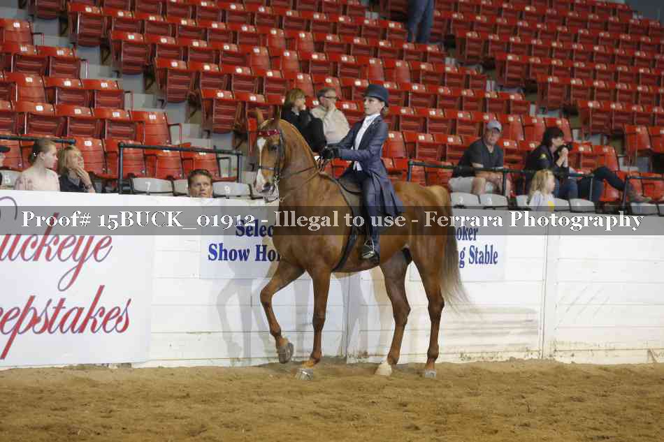 Proof 15BUCK_01912