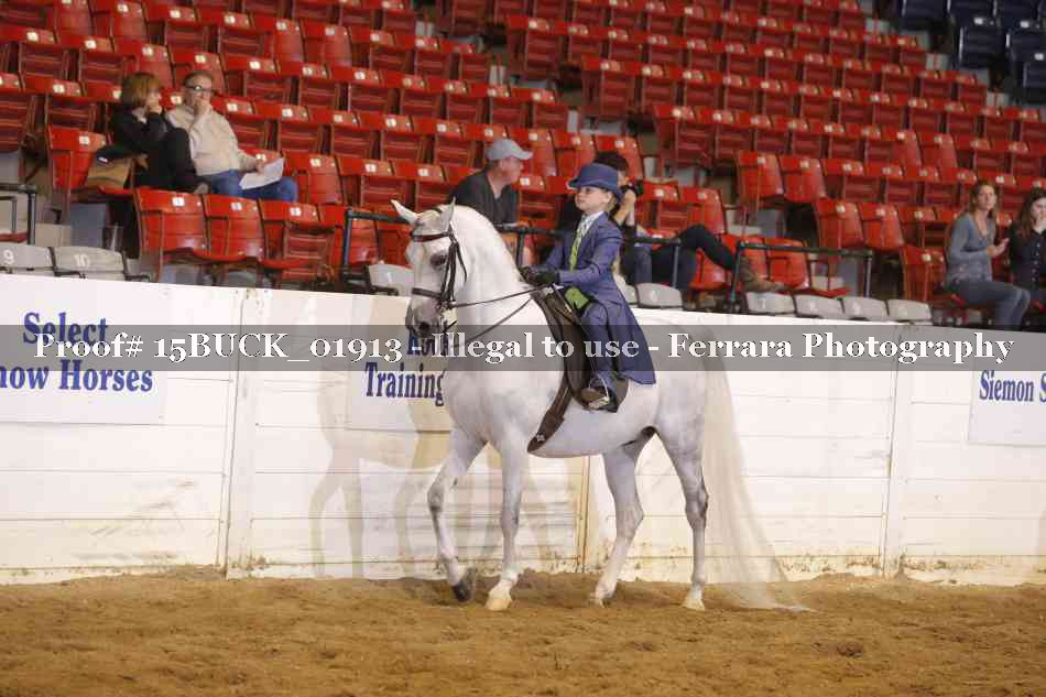Proof 15BUCK_01913