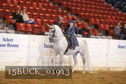 15BUCK_01913 proof