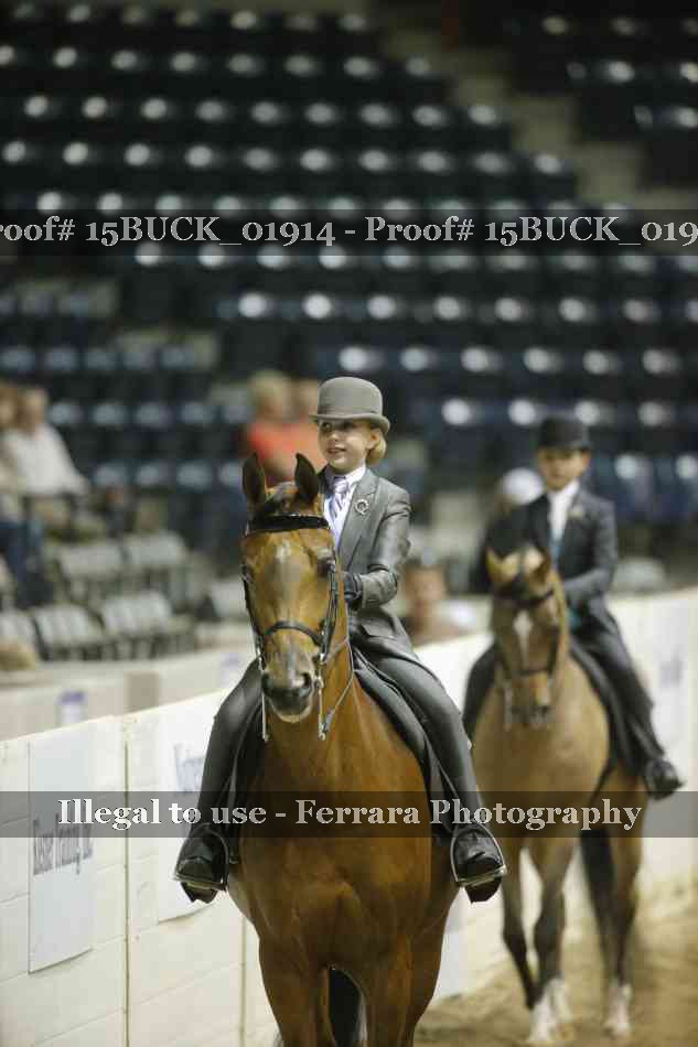 Proof 15BUCK_01914