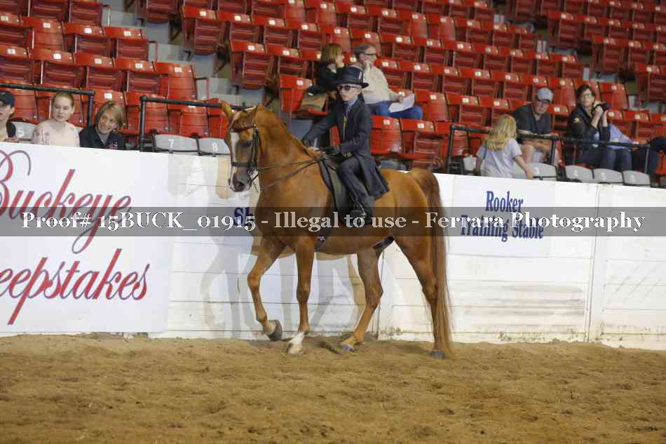 Proof 15BUCK_01915
