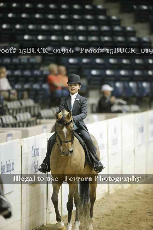 Proof 15BUCK_01916