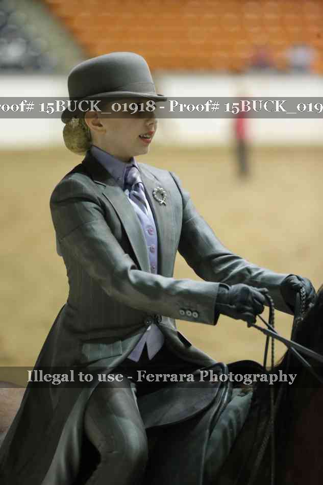 Proof 15BUCK_01918