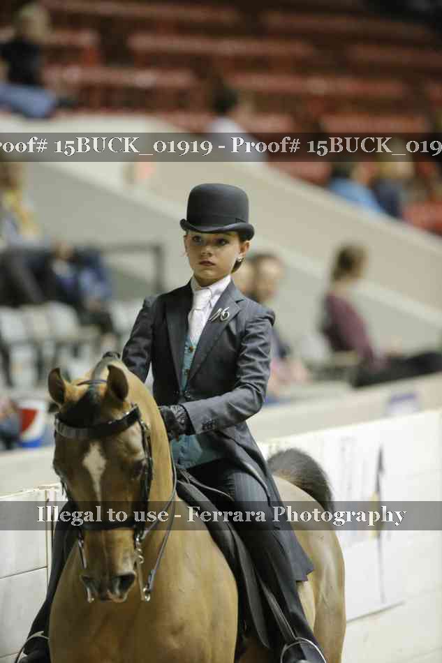 Proof 15BUCK_01919