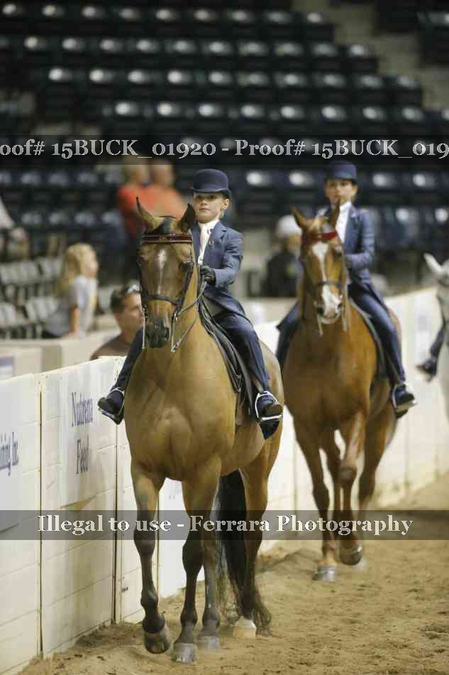 Proof 15BUCK_01920