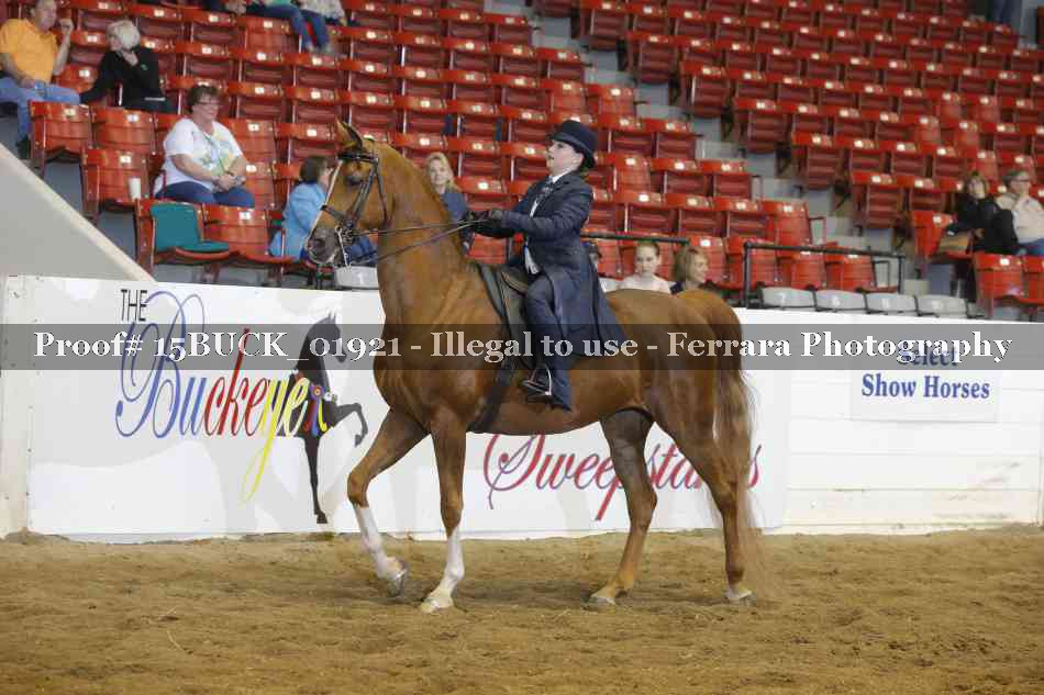 Proof 15BUCK_01921