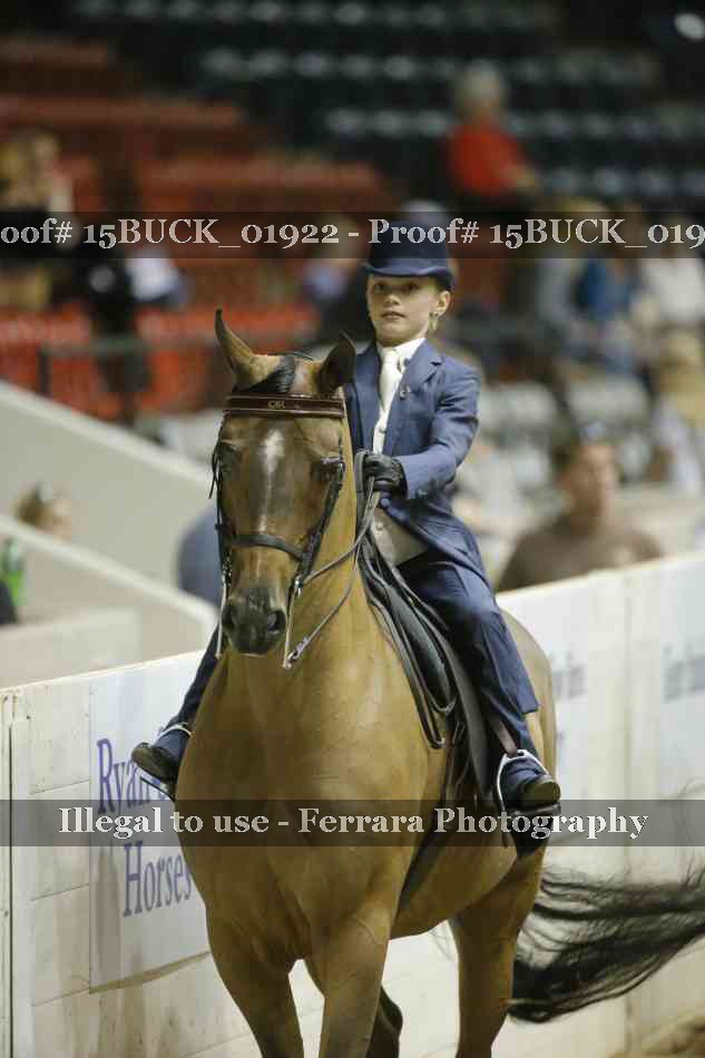 Proof 15BUCK_01922