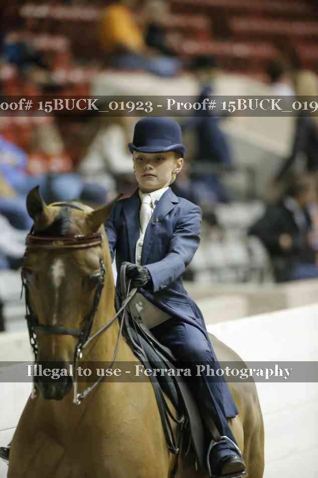 Proof 15BUCK_01923