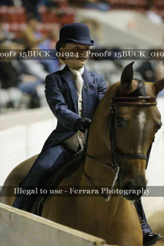 Proof 15BUCK_01924