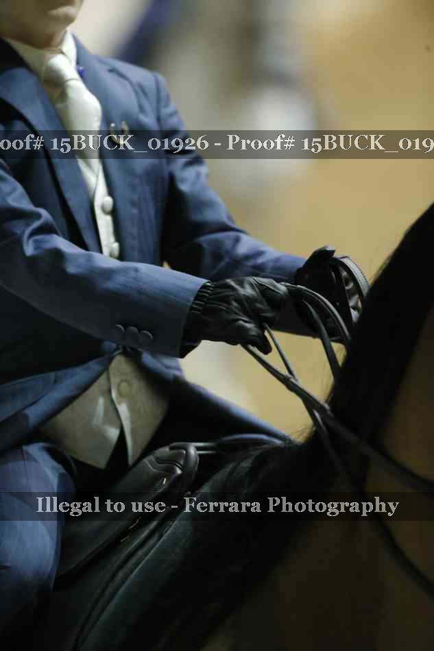 Proof 15BUCK_01926