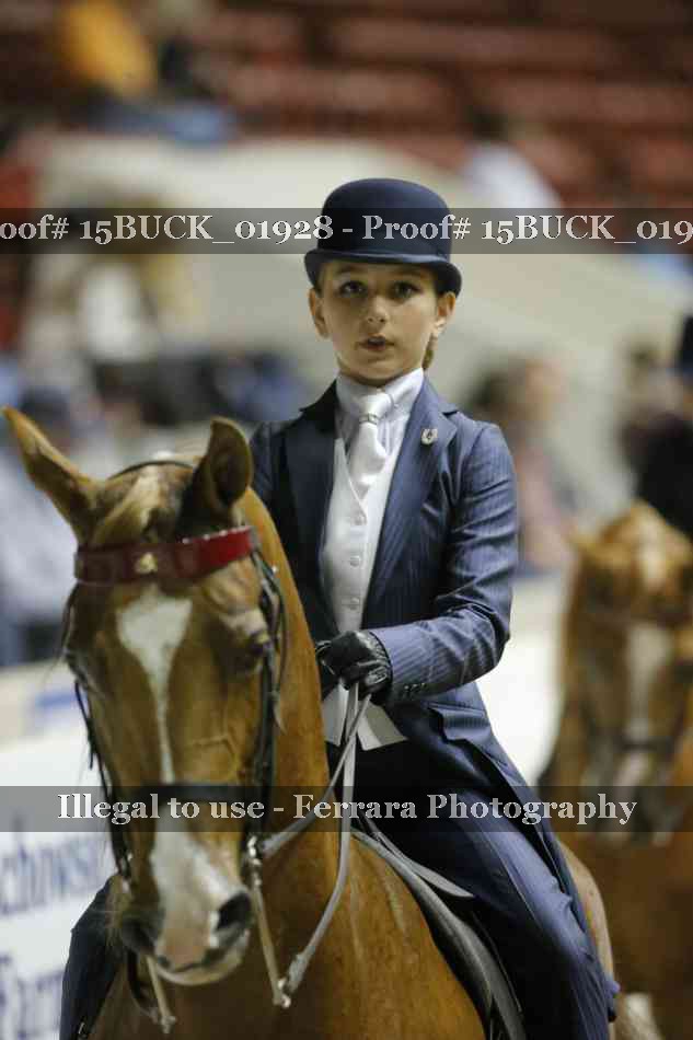 Proof 15BUCK_01928