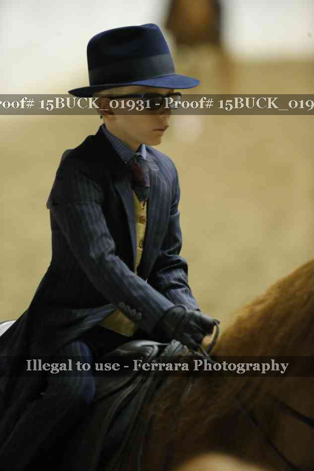 Proof 15BUCK_01931