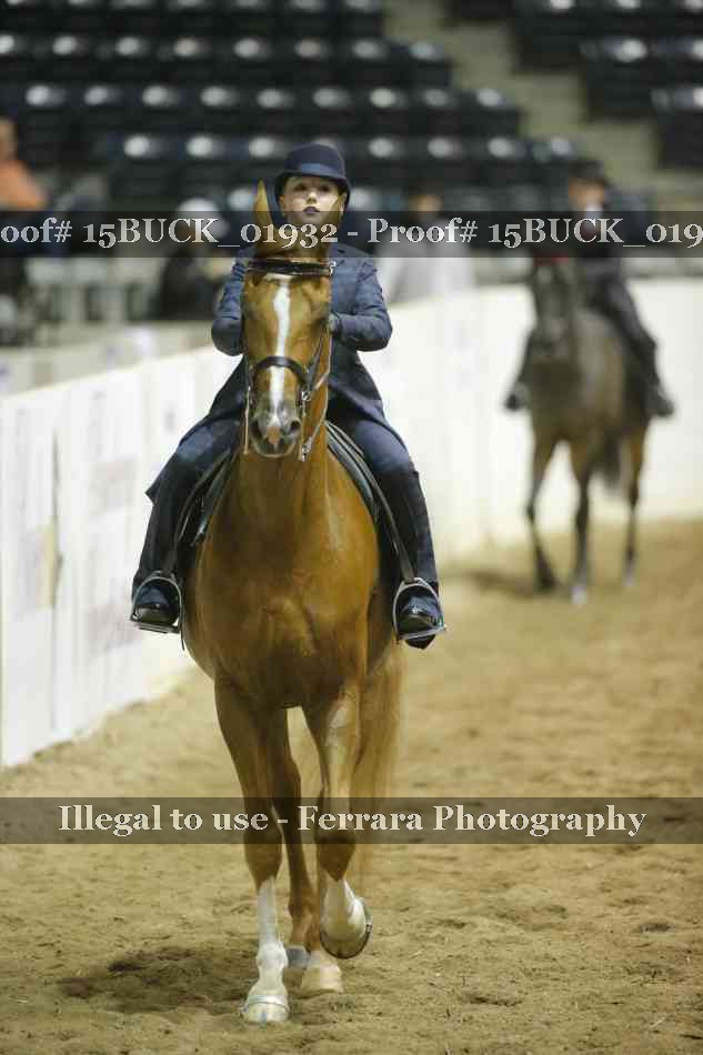 Proof 15BUCK_01932