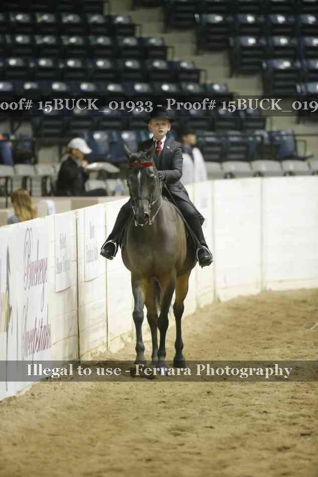 Proof 15BUCK_01933