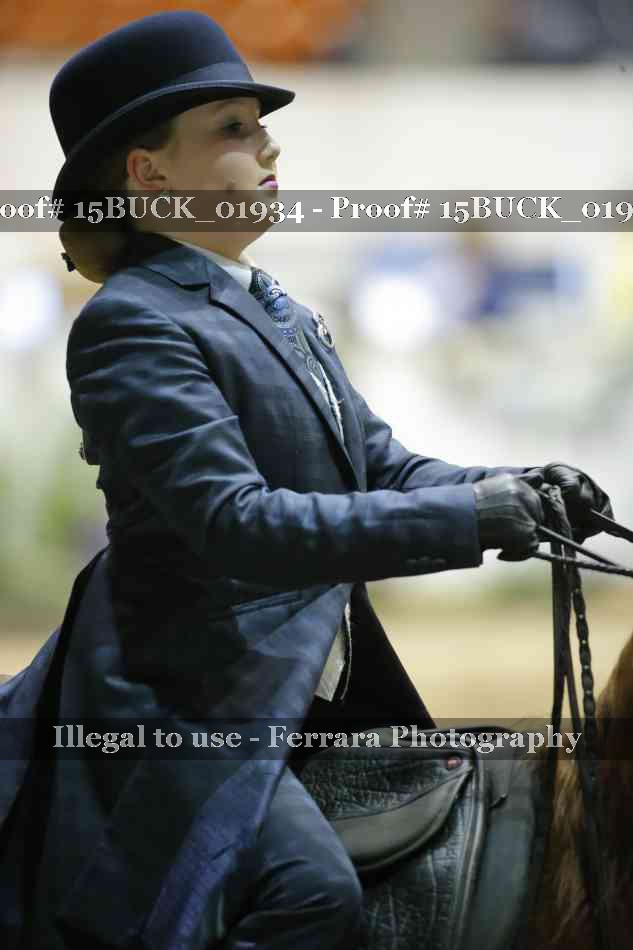 Proof 15BUCK_01934