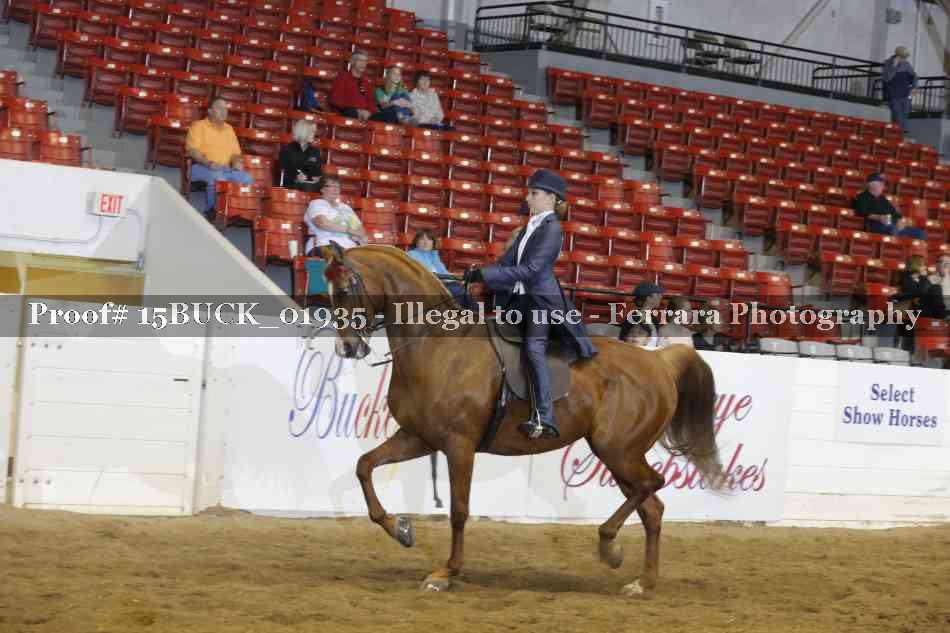 Proof 15BUCK_01935