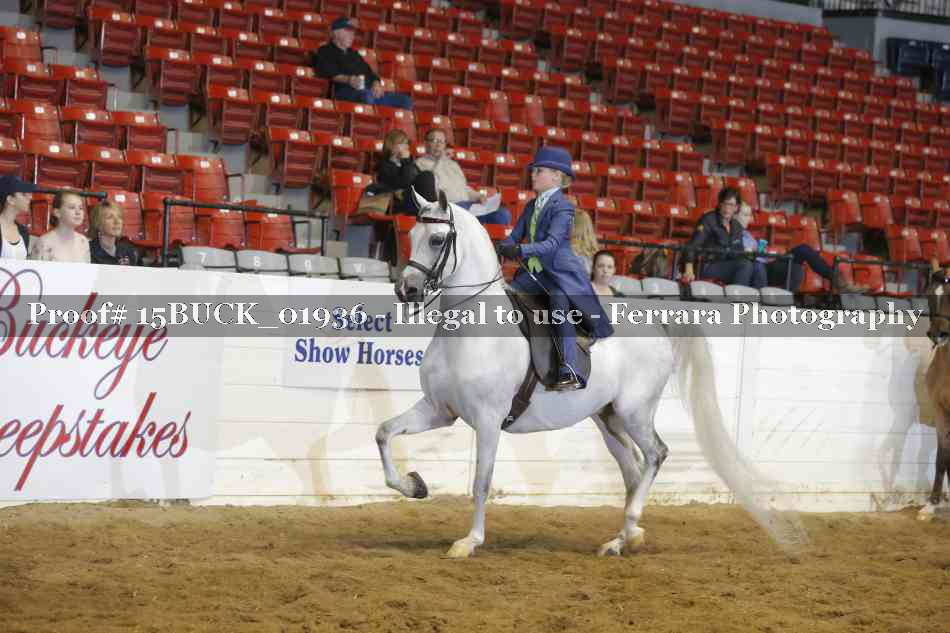 Proof 15BUCK_01936