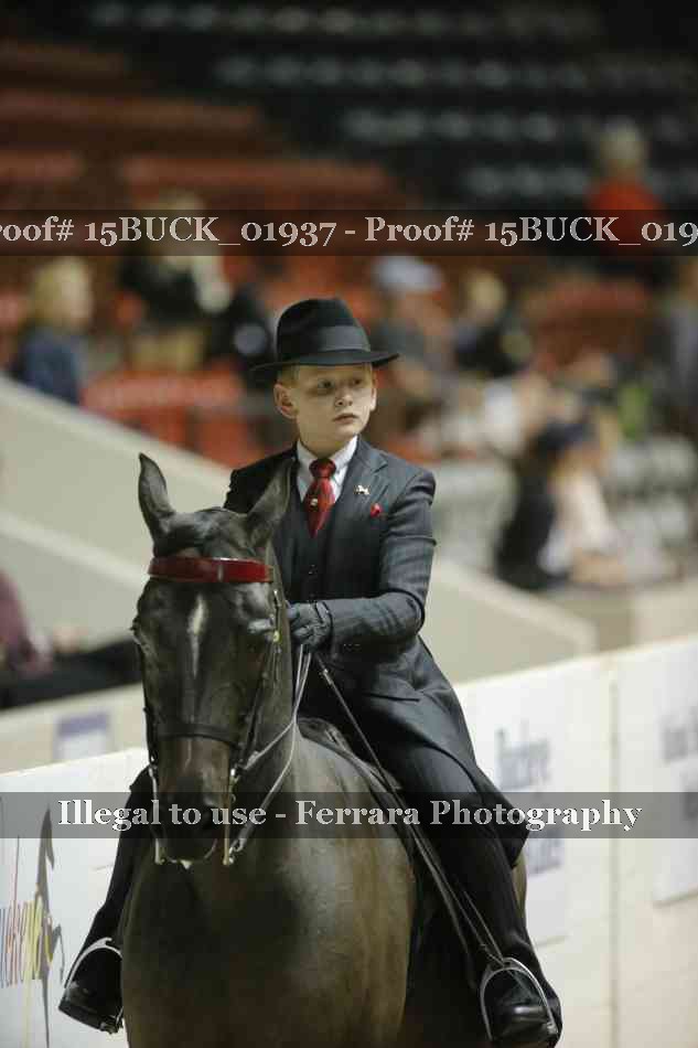 Proof 15BUCK_01937