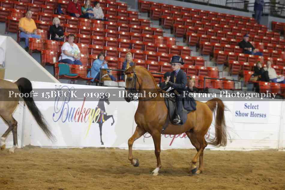 Proof 15BUCK_01939