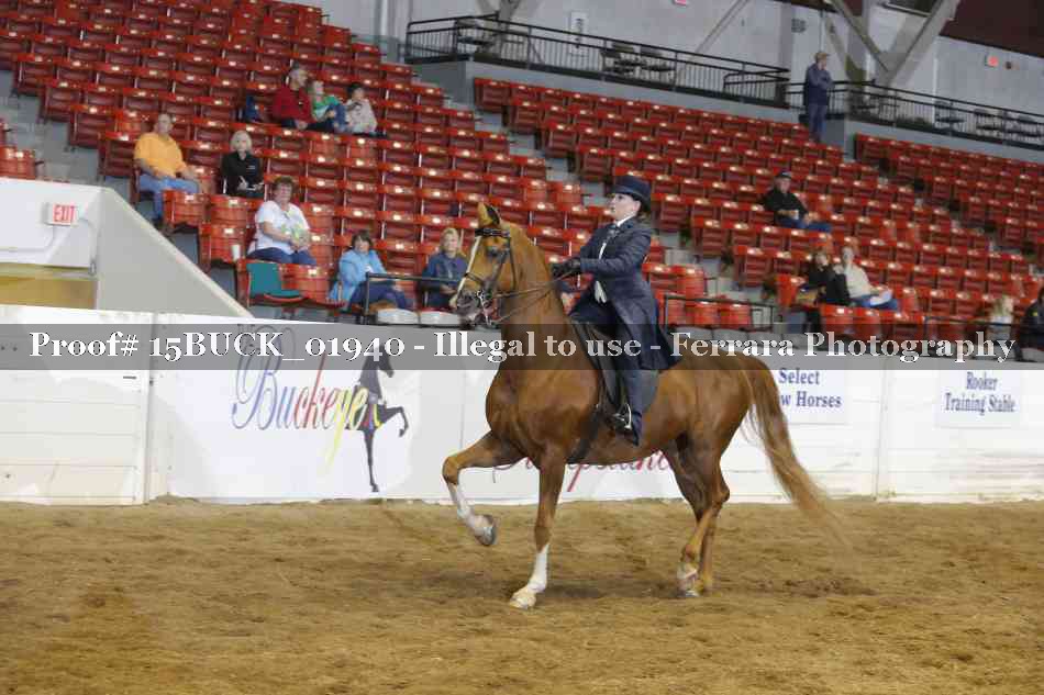 Proof 15BUCK_01940