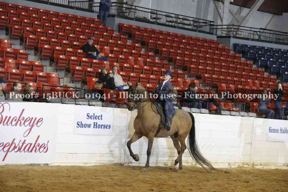 Proof 15BUCK_01941