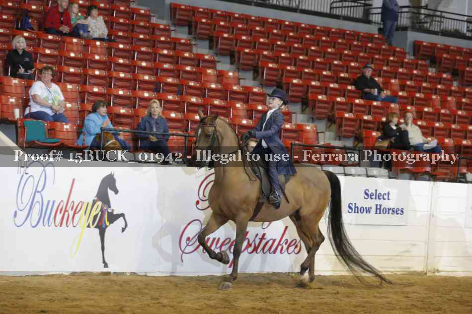 Proof 15BUCK_01942