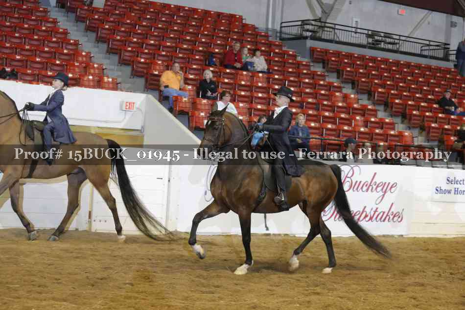 Proof 15BUCK_01945