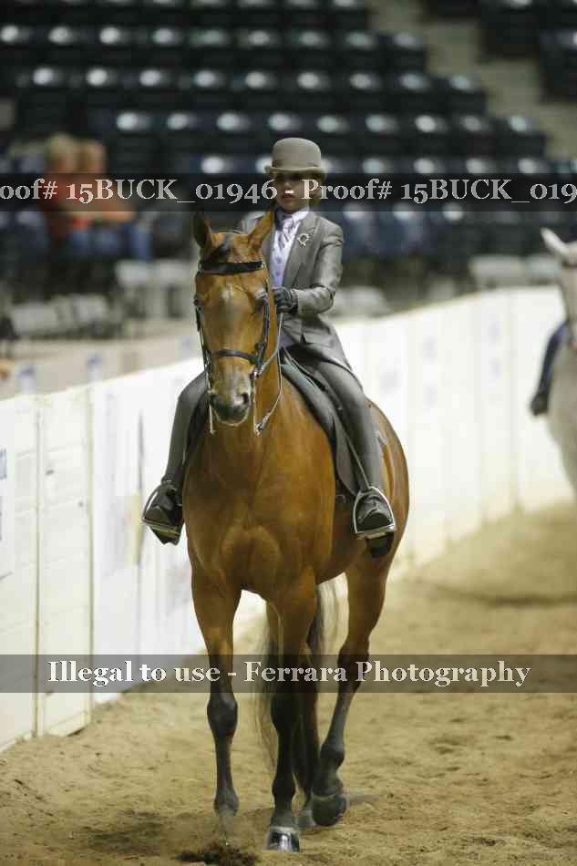 Proof 15BUCK_01946