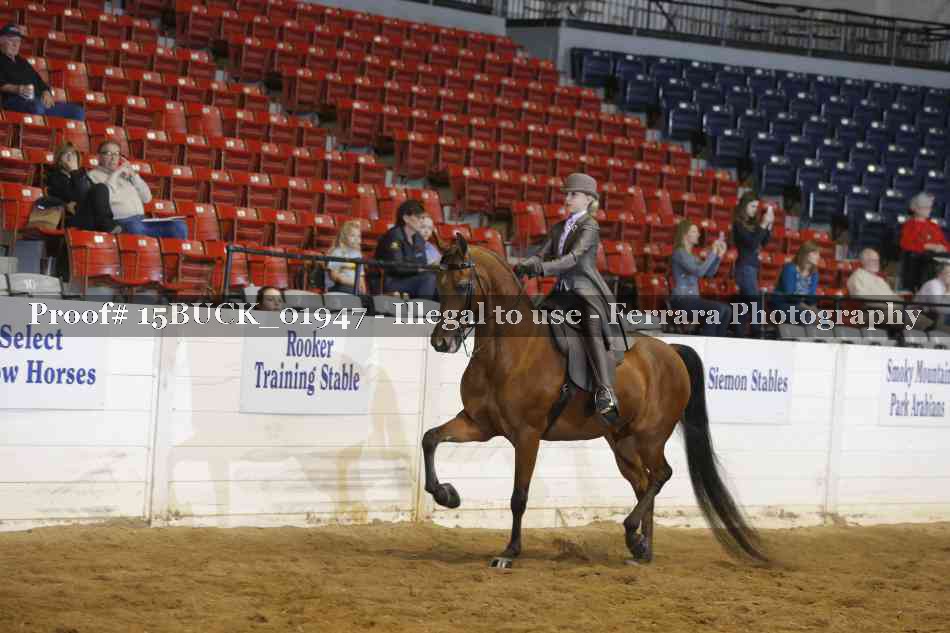 Proof 15BUCK_01947