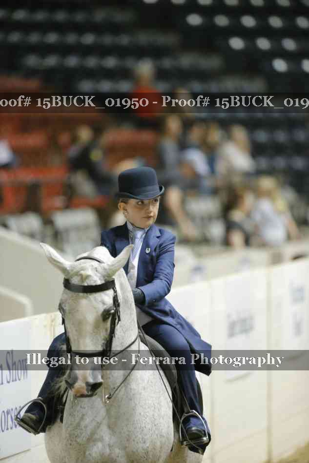 Proof 15BUCK_01950