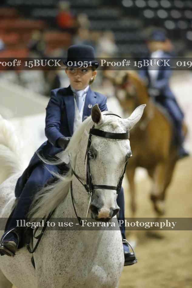 Proof 15BUCK_01951